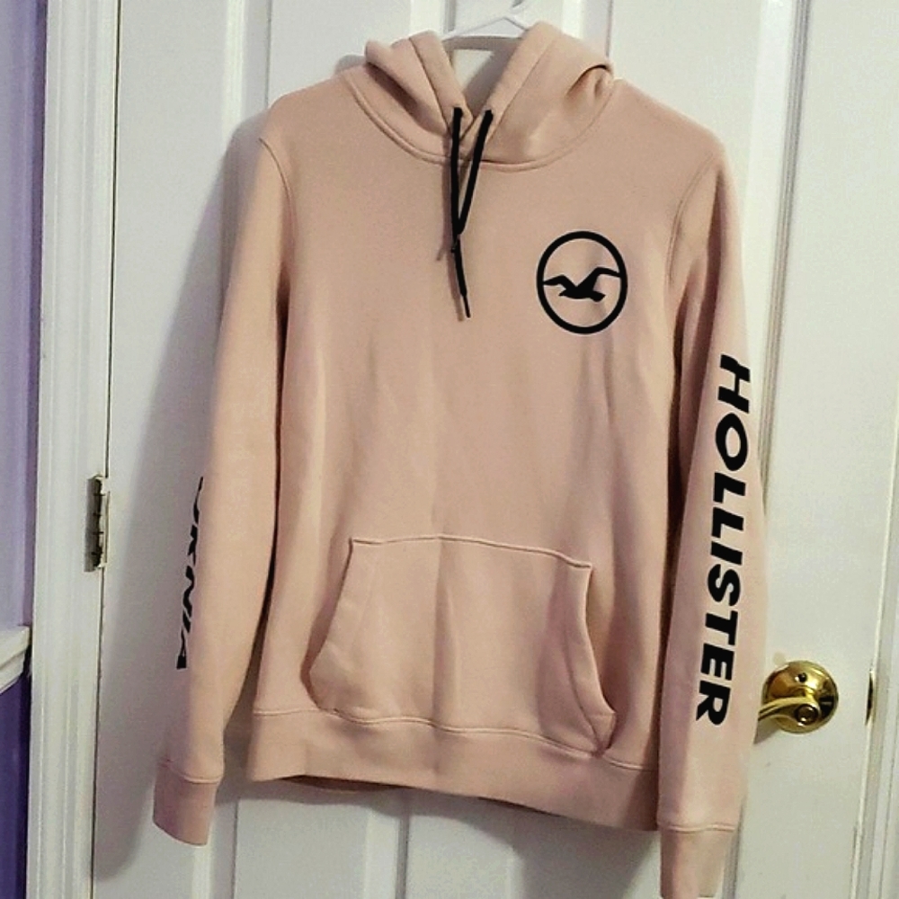 Hollister Blush Pink Large Bird Logo Pullover Hooded Sweater Skateboard Beachy S